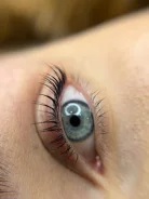 �������� ������������� ������ ����