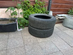 Bridgestone Blizzak DM-V1. ������, ��� �����, 2019 ���, �/�, ����� 40�% ����