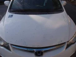 ����� Honda Civic [60100-SNL-Q10ZZ] 60100SNLQ10ZZ ����