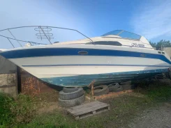Bayliner. ��������� ������������, ������ ����