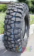 Forward Safari 510. ����� at, 2025 ���, ����� ����