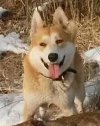 �����. ����