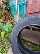 Viatti Bosco S/T. ������, ����������, 2023 ���, ����� ����