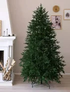 ���� �������������. ����