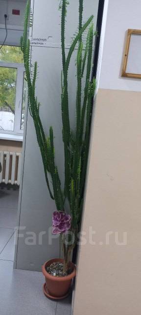 У Вас Холодные Руки и Ноги? В чем причина? #холодныеруки # ...
