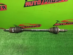 ������ CT216, CT216G 4236033010, ������ ������ 4236033010 ����