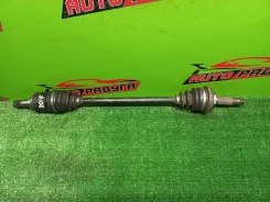 ������ CT216, CT216G 4236033010, ������ ������ 4236033010 ����
