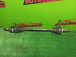 ������ CT216, CT216G 4236033010, ������ ������ 4236033010 ����