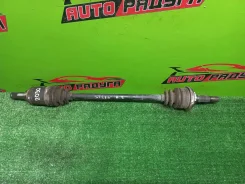 ������ CT216, CT216G 4234021010, ����� ������ 4234021010 ����