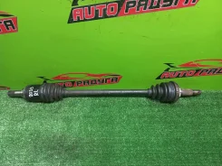 ������ CT216, CT216G 4234021010, ����� ������ 4234021010 ����