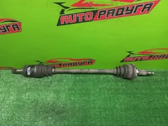 ������ CT216, CT216G 4234021010, ����� ������ 4234021010 ����