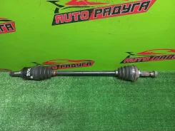������ CT216, CT216G 4234021010, ����� ������ 4234021010 ����