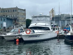 Bertram. 2000 ���, ����� 12��., 1��.�., ������ ����