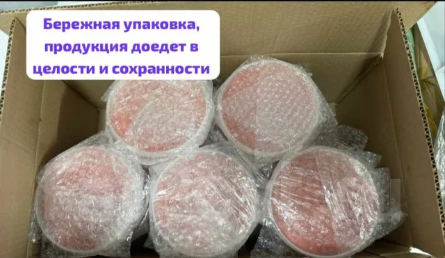 ���� ����. ����