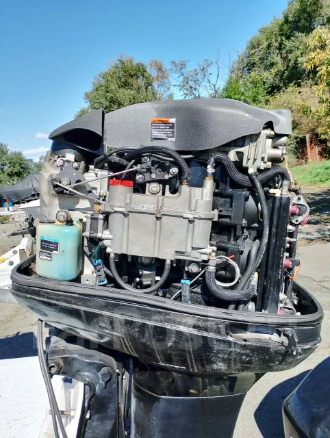 Mercury. 250��.�., 2-�������, ����������, ���� L (508 ��), 2007 ��� ����