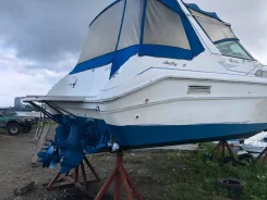 Searay. 1996 ���, ����� 11,5��., ��������� ������������, 440��.�., ������ ����