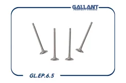������� �����+������ Gallant GLEP65 GLEP65 ����
