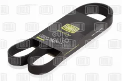 ������ ������������ Trialli 6PK1256 6PK1256 ����