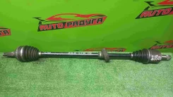 ������ CF3, CF4 Honda, Isuzu Accord, ASKA, Torneo [44011S0AN50, 44306S0AN60], ����� �������� 44011S0AN50 ����