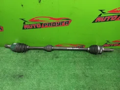 ������ Z21A, Z21W Mitsubishi COLT, COLT PLUS [MR980744], ������ �������� MR980744 ����