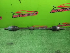 ������ Z21A, Z21W Mitsubishi COLT, COLT PLUS [MR980744], ������ �������� MR980744 ����