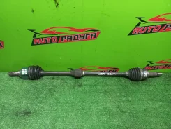 ������ Z21A, Z21W Mitsubishi COLT, COLT PLUS [MR980744], ������ �������� MR980744 ����