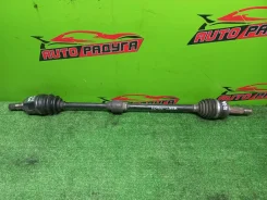 ������ Z21A, Z21W Mitsubishi COLT, COLT PLUS [MR980744], ������ �������� MR980744 ����