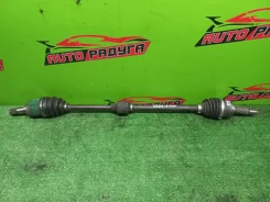 ������ Z21A, Z21W Mitsubishi COLT, COLT PLUS [MR980744], ������ �������� MR980744 ����