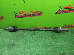 ������ Z21A, Z21W Mitsubishi COLT, COLT PLUS [MR980744], ������ �������� MR980744 ����