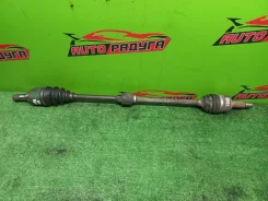 ������ Z21A, Z21W Mitsubishi COLT, COLT PLUS [MR980744], ������ �������� MR980744 ����