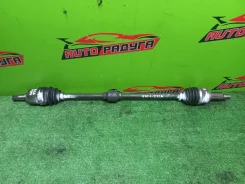 ������ Z21A, Z21W Mitsubishi COLT, COLT PLUS [MR980744], ������ �������� MR980744 ����