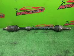 ������ B15, BBVY11 391004M410, ������ �������� 391004M410 ����