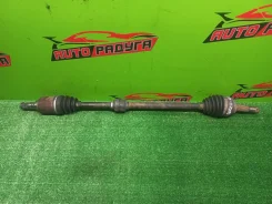 ������ YGZ11, YK12 391004V51A, ������ �������� 391004V51A ����
