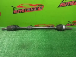 ������ YGZ11, YK12 391004V51A, ������ �������� 391004V51A ����