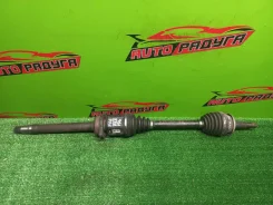 ������ ANA10, AZE151 Toyota, Scion, Blade, Corolla, MARK X ZIO, XB [4341012820], ������ �������� 4341012820 ����