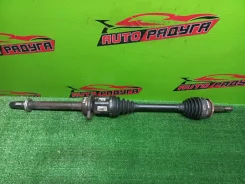 ������ ANA10, AZE151 Toyota, Scion, Blade, Corolla, MARK X ZIO, XB [4341012820], ������ �������� 4341012820 ����