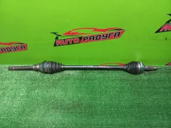 ������ KGC15, M310S 43410B1030, ������ �������� 43410B1030 ����