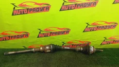 ������ GGH25W, GSA33 Toyota, Alphard, �Estima, �Previa, �RAV4, �Tarago, �Vellfire [4341042200], ������ �������� 4341042200 ����