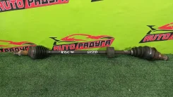 ������ KGC10, M300S 43410B1010, ������ �������� 43410B1010 ����