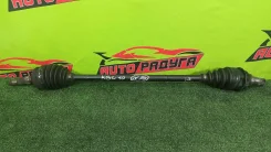 ������ KGC10, M300S 43410B1010, ������ �������� 43410B1010 ����
