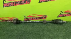 ������ KGC10, M300S 43410B1010, ������ �������� 43410B1010 ����