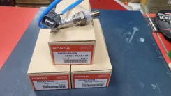 ����������� ������ Honda 36531-PLM-A01 36531-PLM-A01 ����