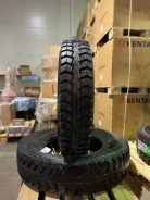 Greenstone DR55. �����������, 2024 ���, ����� ����