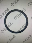��������� ���������� TG-16346-32010/P108 * Ti-Guar TG1634632010 ����