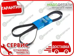 ������ ������������ Sun � ��������� � ��������� [6PK2045] 6PK2045 ����