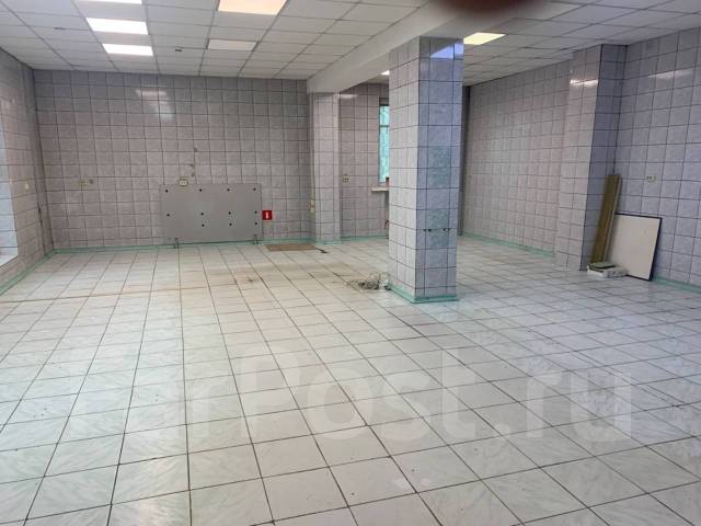 ��������� ���������. 137��&sup2;, ����� ����������� 43, �-� �������� ���������� ����, 1/3 ���� ����