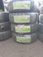 Rapid Freeze S1. ������, ��� �����, 2024 ���, ����� ����