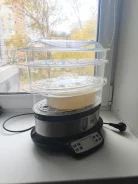 ���������. ����