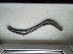 ���� ��� ���� ����������� M57D30 11312248728 ����