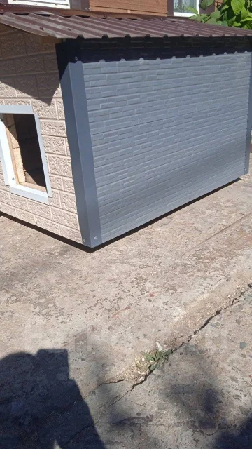 �����. ��� ����� �� ���������� ����